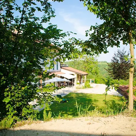 Albero Del Kiri Cavagnolo