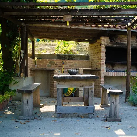Albero Del Kiri Bed & Breakfast Cavagnolo