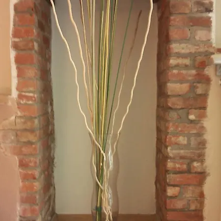 Albero Del Kiri *