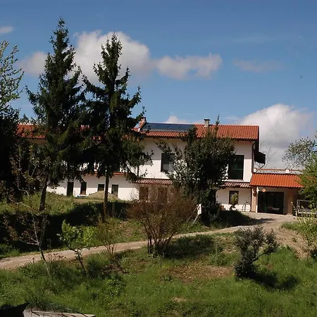 Albero Del Kiri * Cavagnolo