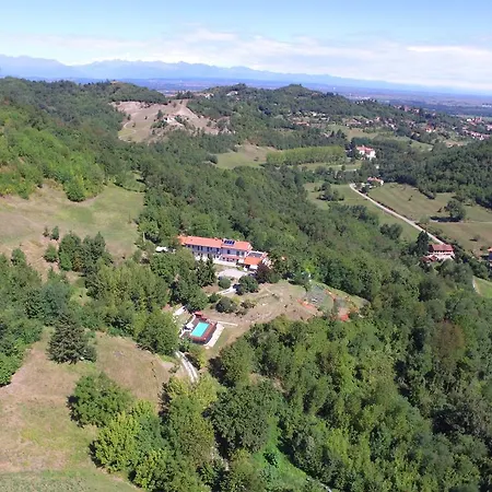 Albero Del Kiri *